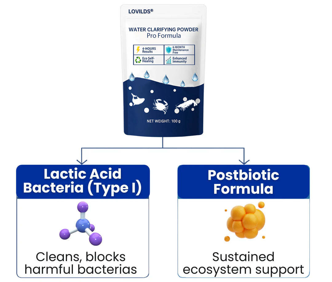 🌟 Official Store |⏱️ Crystal Clear in 24 Hours! | LOVILDS®Water Clarifying Powder
