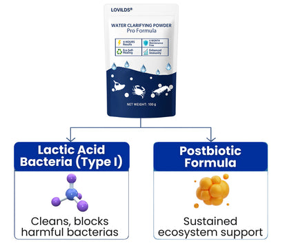 🌟 Official Store |⏱️ Crystal Clear in 24 Hours! | LOVILDS®Water Clarifying Powder