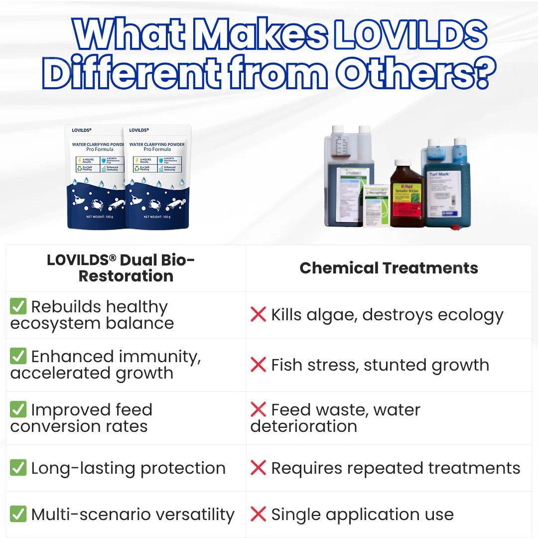 🌟 Official Store |⏱️ Crystal Clear in 24 Hours! | LOVILDS®Water Clarifying Powder