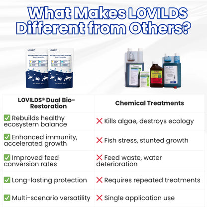 🌟 Official Store |⏱️ Crystal Clear in 24 Hours! | LOVILDS®Water Clarifying Powder
